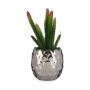 Pianta Decorativa Cactus Ceramica Plastica 10 x 20 x 10 cm (6 Unità)