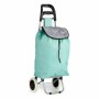 Carrello Verde 3,3 L 20 x 95 x 34 cm (10 Unità)