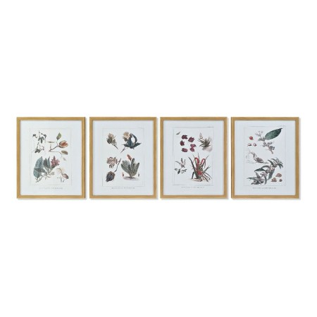 Quadro DKD Home Decor S3013715 Tela Fiori (43 x 3 x 53 cm) (4 Unità)