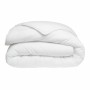 Piumino Letto DODO Nice Night 350 g/m² 240 x 260 cm