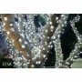 Ghirlanda di Luci LED Lumi Garden YOGY SOLAR COLD 400 LEDS 3,3 m Nero