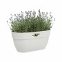 Vaso Elho 3662603645100 Bianco Plastica Rettangolare Moderno 24 x 36 x 26,5 cm