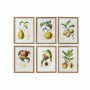 Quadro DKD Home Decor Moderno Frutta (6 Unità) (45 x 2 x 60 cm)