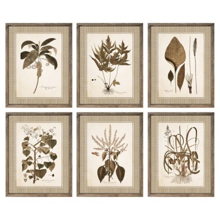 Quadro DKD Home Decor Fiori Moderno (55 x 2,5 x 70 cm) (6 Unità)