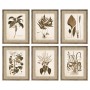 Quadro DKD Home Decor Fiori Moderno (55 x 2,5 x 70 cm) (6 Unità)