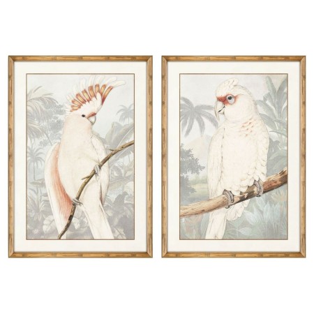 Quadro DKD Home Decor Pappagallo Tropicale (2 Unità) (50 x 3 x 70 cm)