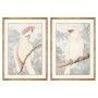 Quadro DKD Home Decor Pappagallo Tropicale (2 Unità) (50 x 3 x 70 cm)