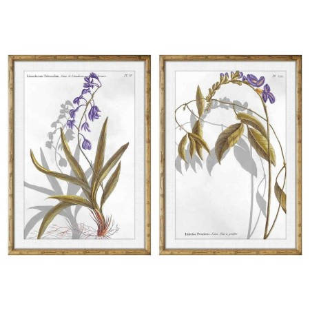 Quadro DKD Home Decor Fiori Moderno (50 x 2 x 70 cm) (2 Unità)