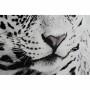 Quadro DKD Home Decor Leopardo Coloniale (100 x 2,5 x 100 cm) (2 Unità)