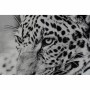 Quadro DKD Home Decor Leopardo Coloniale (100 x 2,5 x 100 cm) (2 Unità)