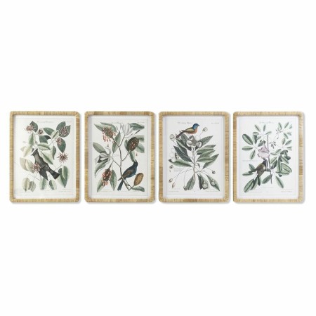 Quadro DKD Home Decor Piante botaniche (50 x 2,5 x 65 cm) (4 Unità)