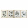 Quadro DKD Home Decor Piante botaniche (50 x 2,5 x 65 cm) (4 Unità)