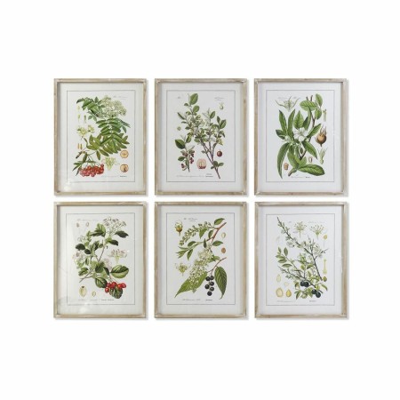 Quadro DKD Home Decor Piante botaniche (55 x 2 x 70 cm) (6 Unità)