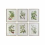 Quadro DKD Home Decor Piante botaniche (55 x 2 x 70 cm) (6 Unità)