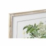 Quadro DKD Home Decor Piante botaniche (55 x 2 x 70 cm) (6 Unità)