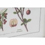 Quadro DKD Home Decor Piante botaniche (55 x 2 x 70 cm) (6 Unità)