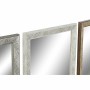 Specchio da parete DKD Home Decor Cristallo Naturale Grigio Marrone Bianco PS 4 Unità Foglia della pianta (36 x 2 x 95,5 cm)