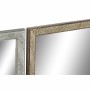 Specchio da parete DKD Home Decor Cristallo Naturale Grigio Marrone Grigio scuro PS 4 Unità Foglia della pianta (56 x 2 x 76 cm