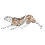 Statua Decorativa DKD Home Decor Arancio Bianco Leopardo Resina (37 x 10 x 13 cm)