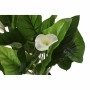 Pianta Decorativa DKD Home Decor Bianco Verde PE Gigli (50 x 50 x 100 cm)