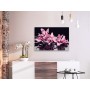 Quadro fai da te - Pink Orchid (Black Background)