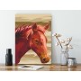 Quadro fai da te - Brown Horse